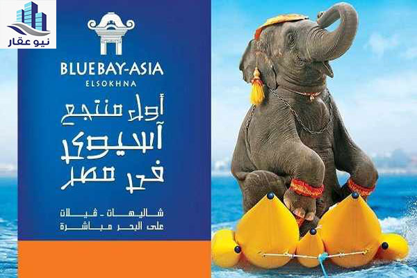 قرية بلو باي اسيا السخنة blue bay asia sokhna