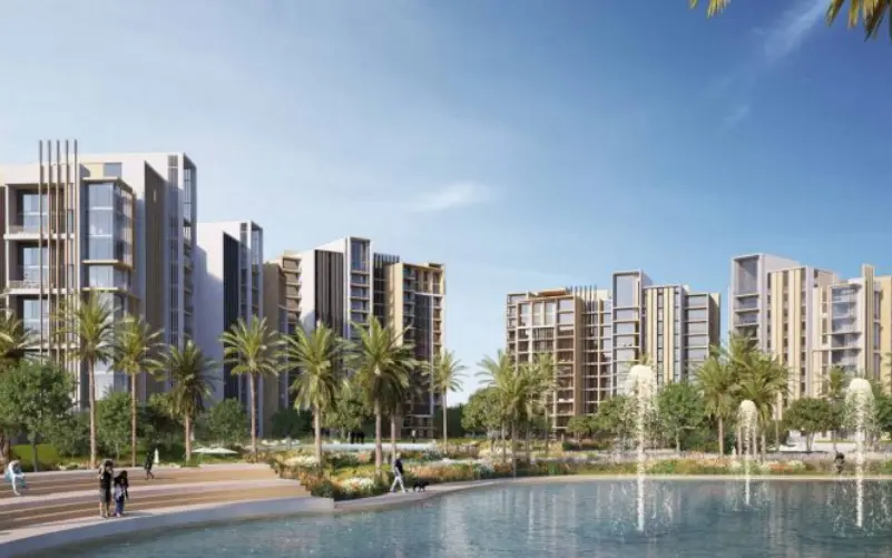 مشروعات الشيخ زايد