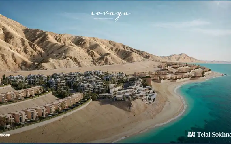 شركة Roaya Developments