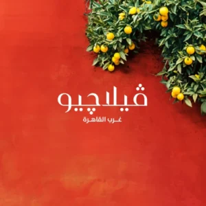 كمبوند فيلاجيو 6 أكتوبر تفاصيل واسعار Villagio 6 October