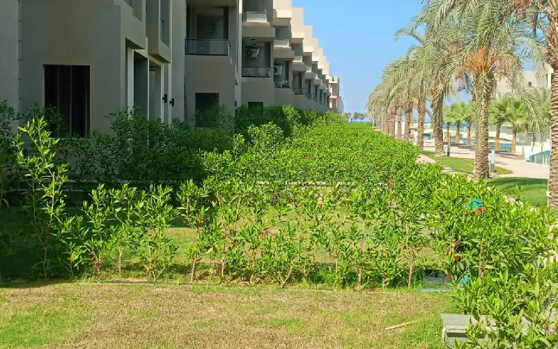 بيلا فينتو الجلالة bella vento el galala