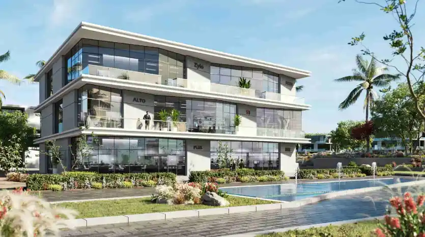 مشروع بينج زايد الجديدة