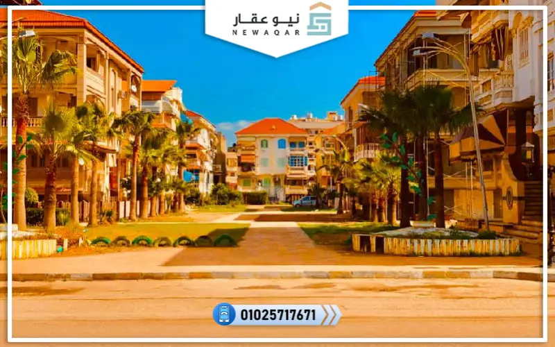 راس البر