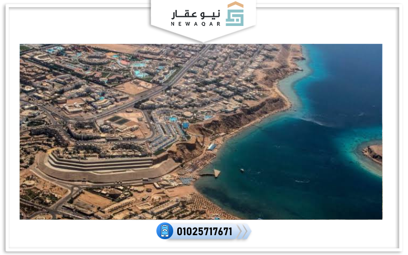 راس جميلة شرم الشيخ
