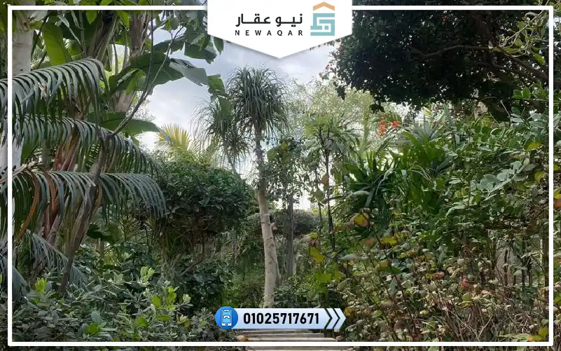 شاليه لقطه 200م للبيع قرية مرسي باغوش الساحل الشمالي