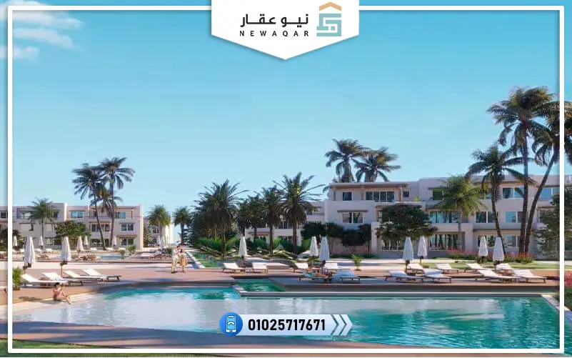 الفرق بين هاسيندا وايت وهاسيندا باي
