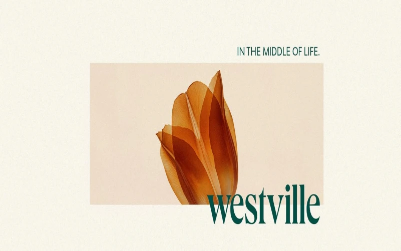 كمبوند ويست فيل اكتوبر WestVille October مساحات واسعار