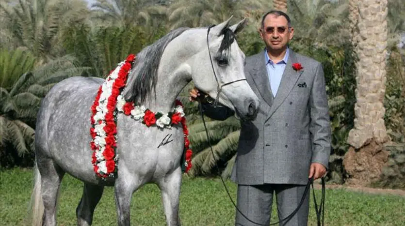 مؤسس شركة المراسم للتطوير العقاري