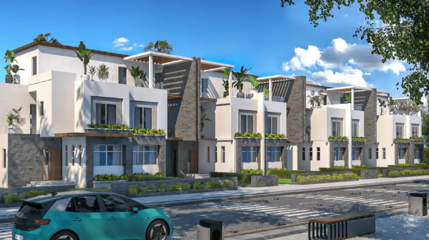 في ليفلز زايد الجديدة