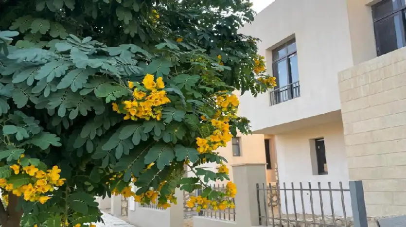 كمبوند او ويست 6 اكتوبر